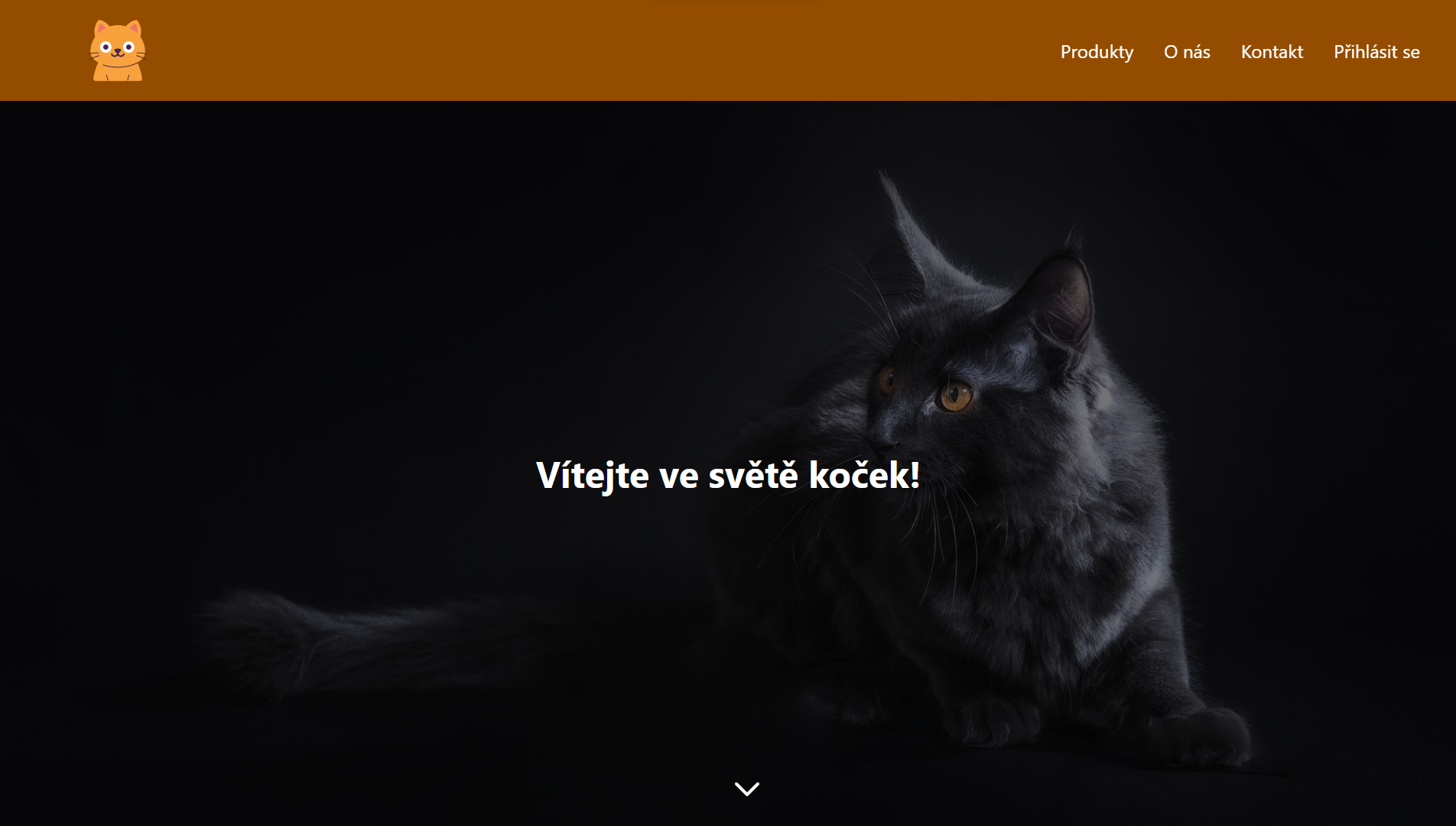 Ráj koček - E-shop pro milovníky koček - hlavní obrázek